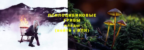 наркотики Заводоуковск
