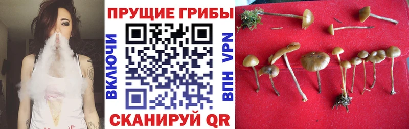 Псилоцибиновые грибы ЛСД  Купить  Тейково 